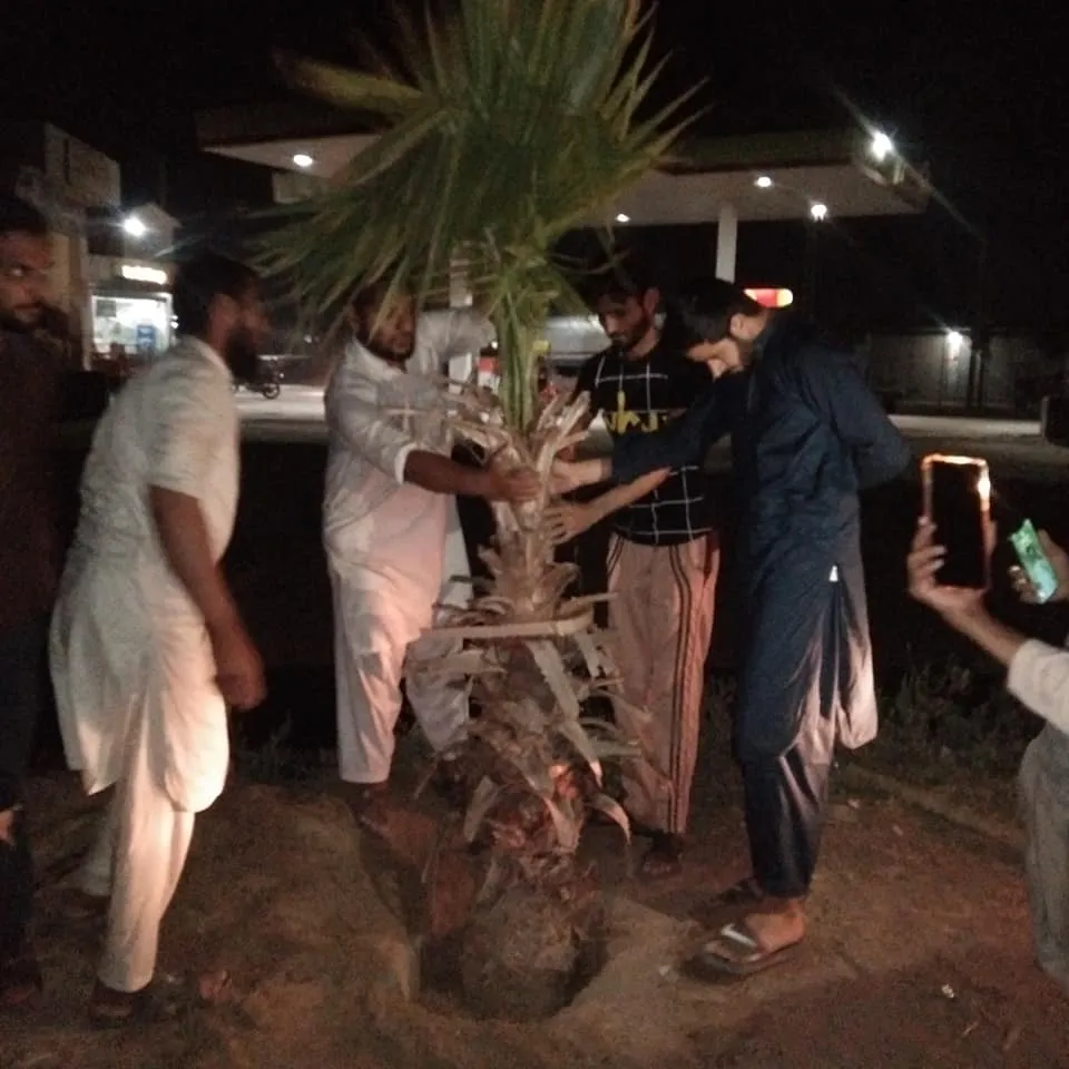 Green Seekers Activity